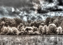 DSC 3534 6 5 Merged  Righter Road #2