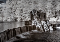 DSC 3782 3 4 Merged  Speedwell Lake #3