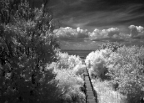 IR0 0065-Edit  Ablemarle Sound