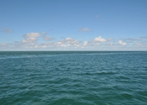 DSC 1720